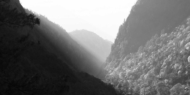 二手车整备翻新标准化流程：巧用汽车配件与车友社区，大幅提升残值与消费信心