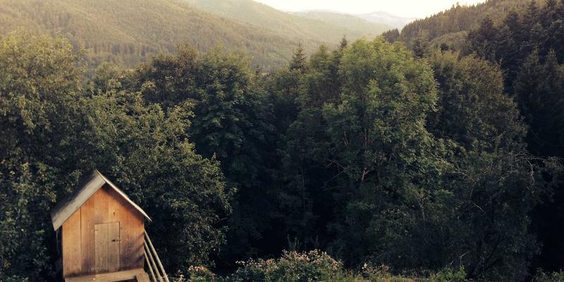 从改装热潮到智慧运营：汽车后市场门店数字化管理解决方案深度解析