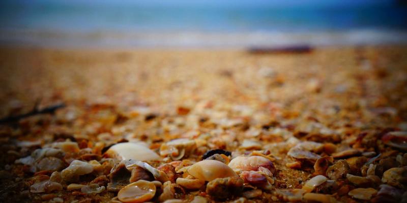 从车友会热议到赛博朋克未来：新能源汽车电池保养与回收的产业链新机遇