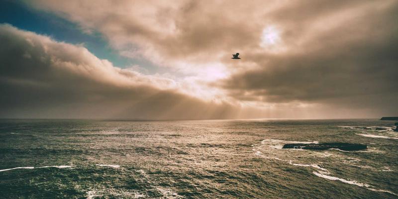 当保养遇上赛博朋克:汽车后市场的未来图景与论坛新生态