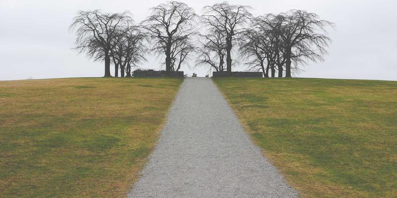 当汽车后市场遇上赛博朋克：保养的科技革命与未来想象