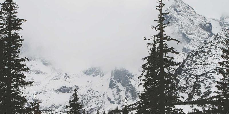 新能源汽车电池健康度检测与评估服务：车友社区热议的配件与改装新蓝海