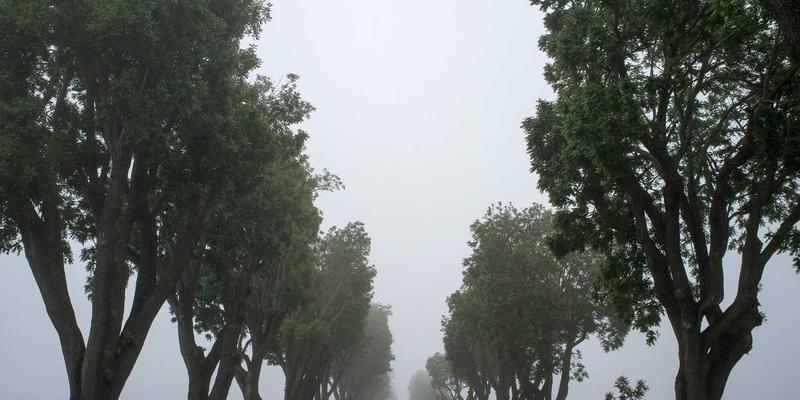 汽车后市场59：车友社区如何引领保养与改装新潮流