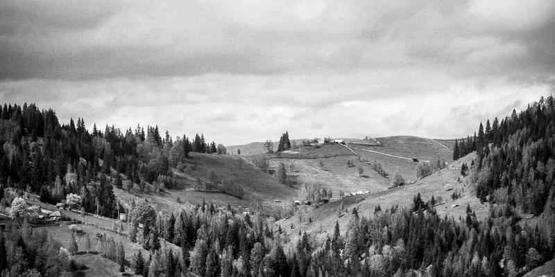 汽车后市场全攻略：从科学保养到车友会社交，让爱车生活更省心