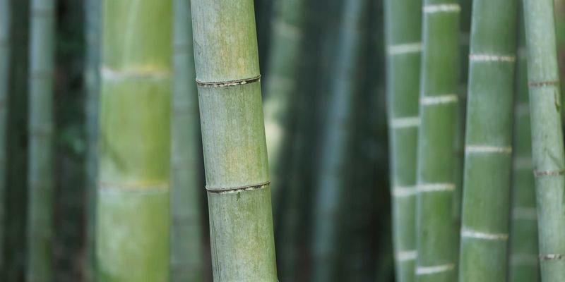 汽车后市场数字化转型：车友会如何重塑汽车配件供应链新生态