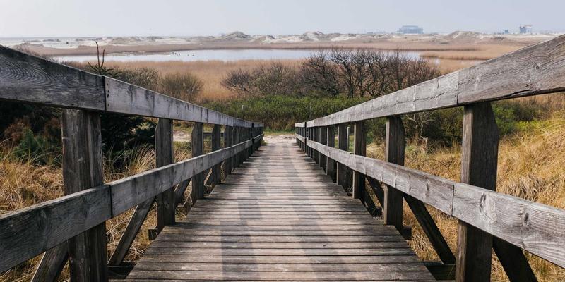 汽车后市场新趋势:维修、保养与改装的融合与升级