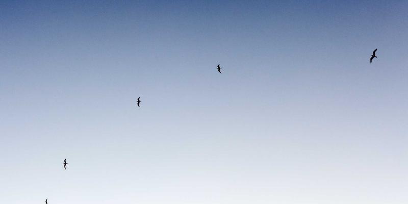 赛博朋克时代的汽车保养：玻璃修复与更换，原厂件、品牌件、认证件如何抉择？