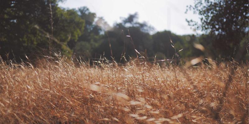 赛博朋克时代的汽车后市场：智能轮胎选购与全气候保养指南