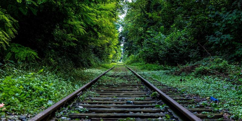 赛博朋克风潮下的新能源汽车改装：后市场服务体系建设与挑战