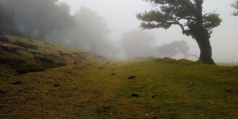 车友会与汽车论坛热议：汽车底盘深度养护之悬挂系统检查与四轮定位技术要点全解析