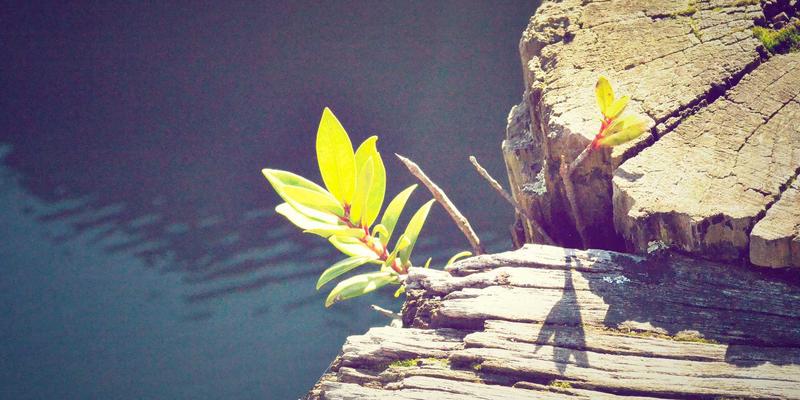 车友社区热议：大数据UBI保险如何重塑汽车配件与后市场消费格局